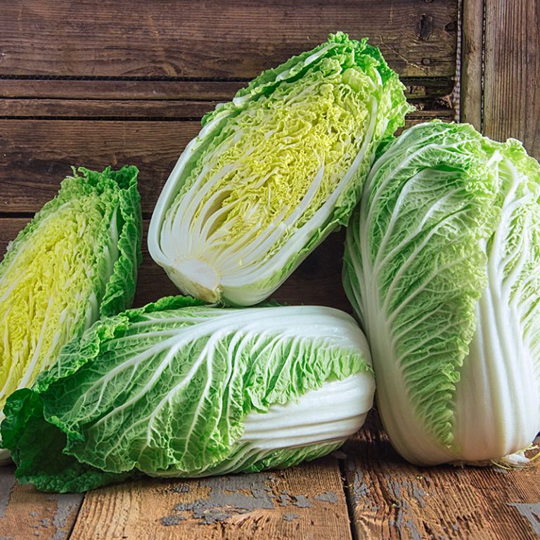 Napa Cabbage Seeds Non Gmo Perfect For Stir Fries And Soups