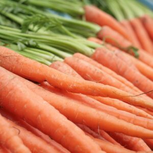 tendersweet carrot seeds